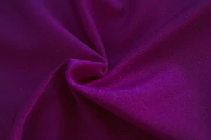 Plavkovina zářivá fialová