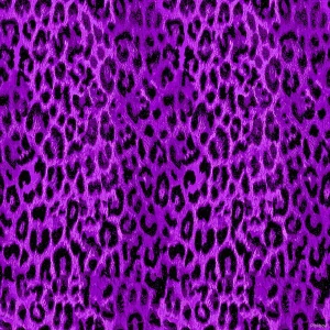 Plavkovina leopard - fialová