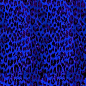 Plavkovina leopard - modrá