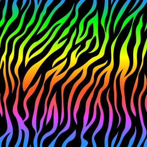 Plavkovina duhová zebra